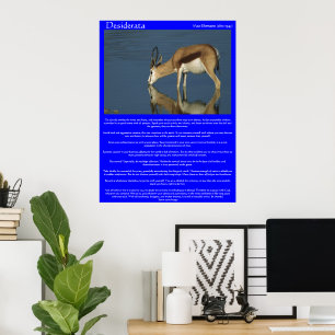 Posters do Bebendo de Antílope Desiderata