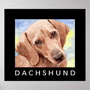 Posters do cão da arte do Dachshund