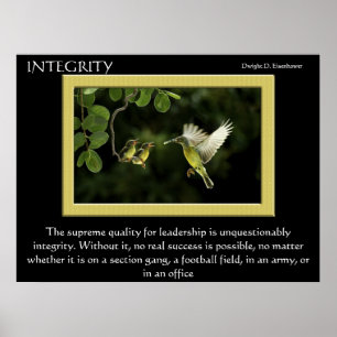 Posters do colibri da INTEGRIDADE