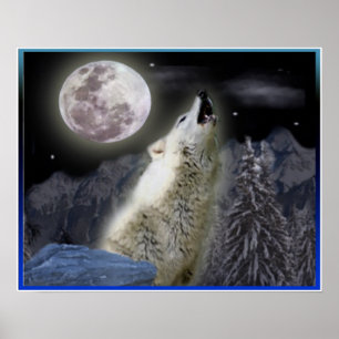 Posters do lobo
