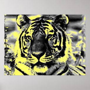 Posters do tigre do estilo do pop art