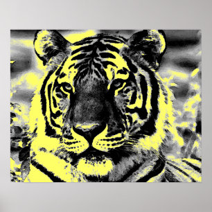 Posters do tigre do estilo do pop art