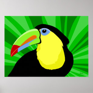 Posters e impressões da arte de Toucan