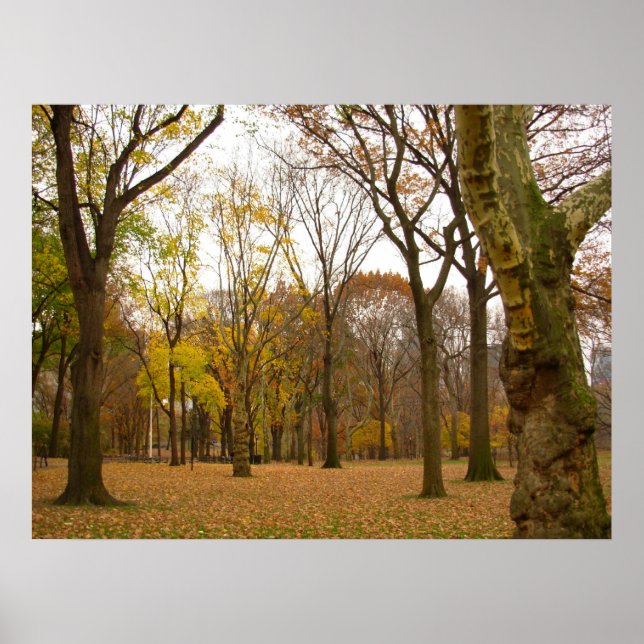 Posters e Impressões do Souvenir em Nova Iorque Po (Frente)