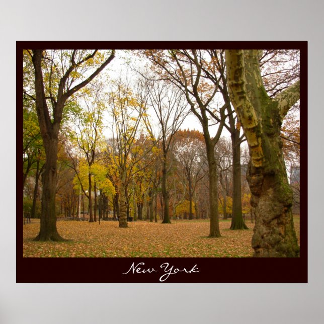 Posters e Impressões do Souvenir em Nova Iorque Po (Frente)