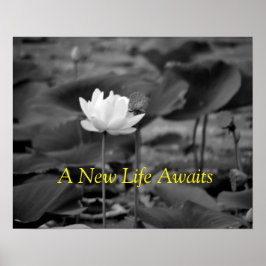 Posters III de defesa da violência doméstica