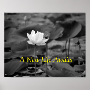 Posters III de defesa da violência doméstica