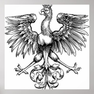 Posters Impressão de de Aragão Polonês