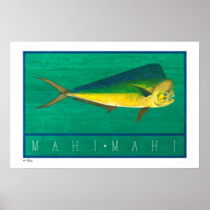Posters, impressões e quadros de Mahi-Mahi