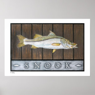 Posters, impressões e quadros de Snook