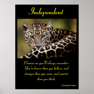 Posters Independentes Animal 20