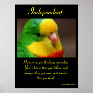 Posters Independentes Animal 21