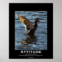 Posters Motivacionais do Pato de Attitude Mallard