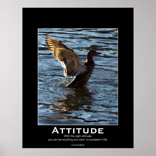 Posters Motivacionais do Pato de Attitude Mallard (Frente)