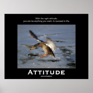 Posters Motivacionais do Pato de Attitude Mallard