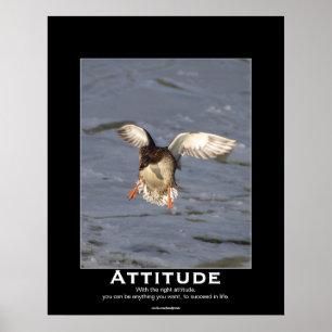 Posters Motivacionais do Pato de Attitude Mallard