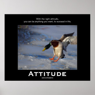 Posters Motivacionais do Pato de Attitude Mallard