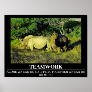 Posters Motivacionais Wildlife Rhinos Trabalho em