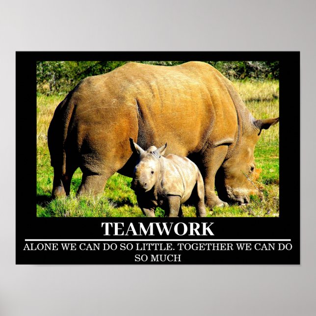 Posters Motivacionais Wildlife Rhinos Trabalho em  (Frente)