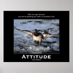 Posters Motivadores de Atitude de Pato de Bufflehe