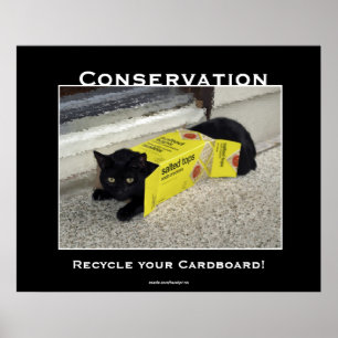 Posters Motivadores de Gato Preto