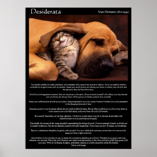 Posters novos 2 do amor dos Desiderata