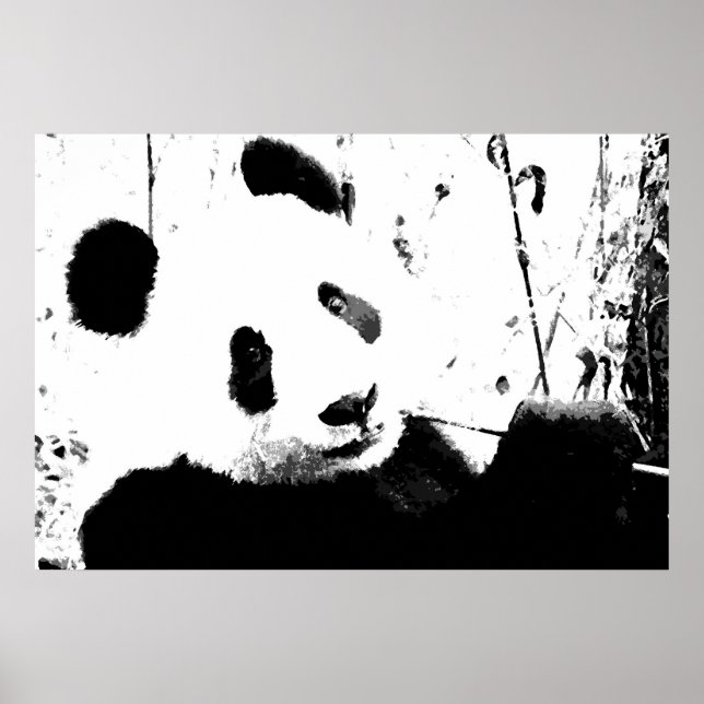 Posters Panda - Face Panda Preta e Branca (Frente)