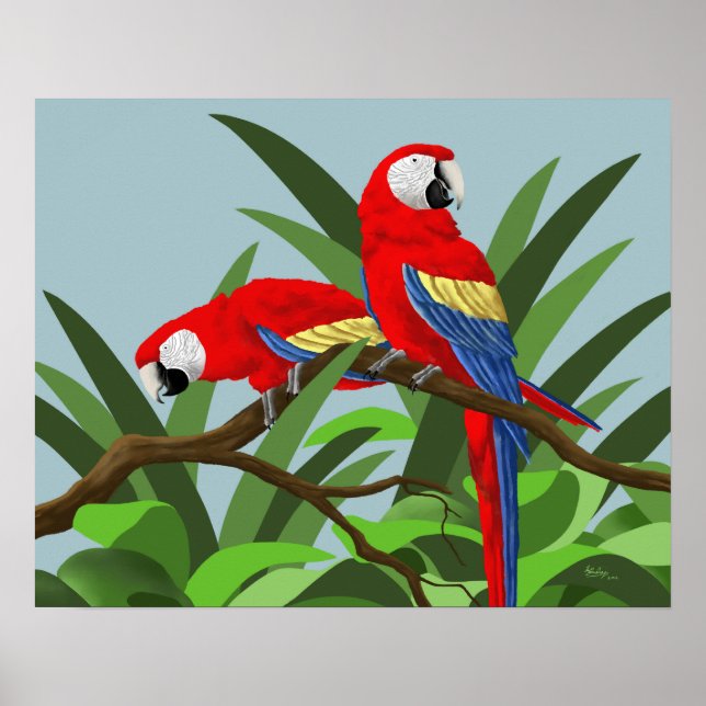 Posters para Macaw Scarlet (Frente)