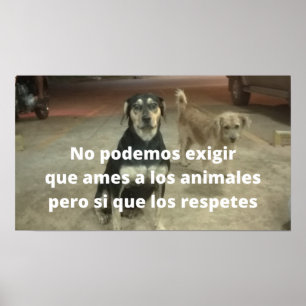 Posters respeitados a los animales