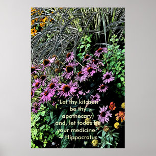 Posters roxos de Coneflower