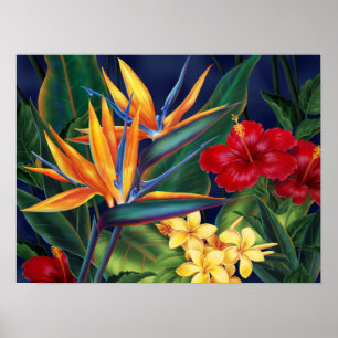 Posters tropicais do paraíso
