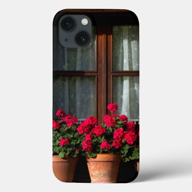 potes de flores de janela na aldeia (Verso)