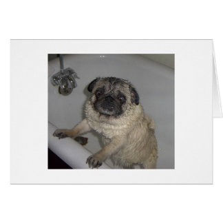 potro molhado, cartão de vazio