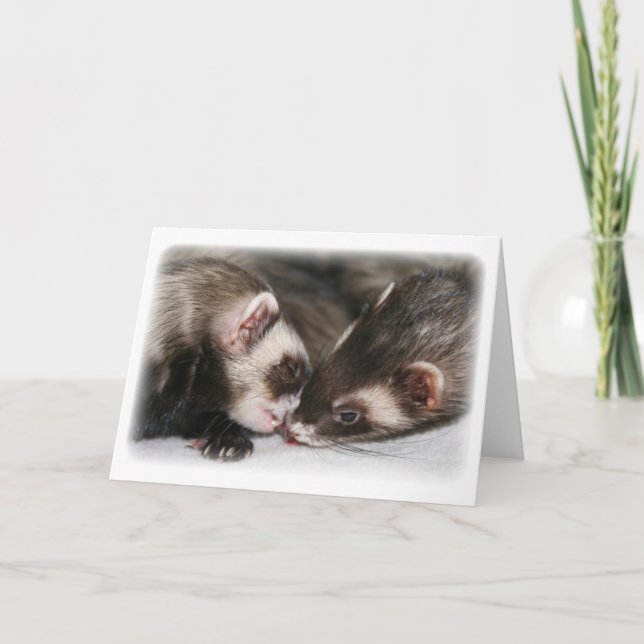 Pouco cartão do "amor" de Dooks (Frente)