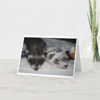 Poucos cartões de cumprimentos dos dorminhocos de