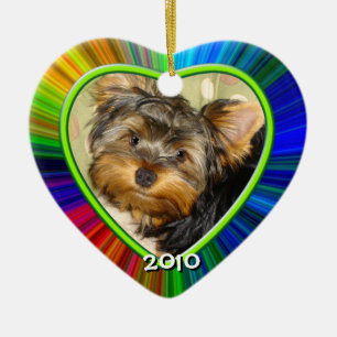 Poucos primeiros enfeites de natal de Yorkies