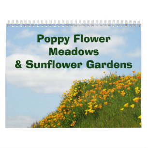 Prados de Flor de Calendário Jardins de Girassol
