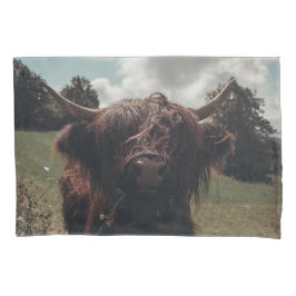 Prados negros e pastagens de vaca escocesa