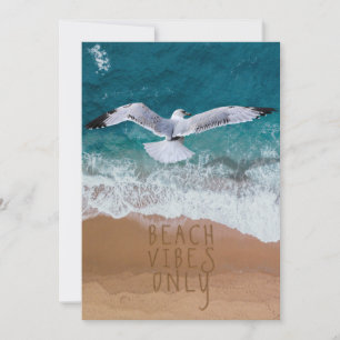 Praia 5x7 Apenas na praia do Seagull Seashore Beac
