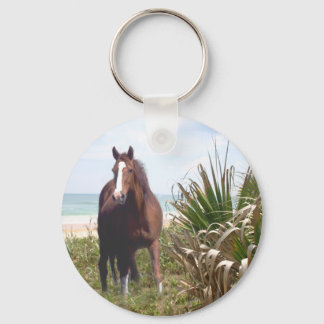 Praia Chaveiro de Cavalo