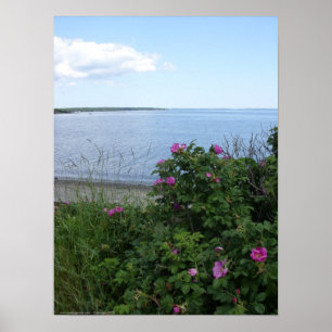 Praia de Marlboro, poster de Maine