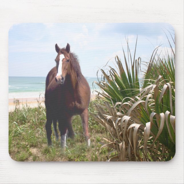 Praia de Mousepad do cavalo (Frente)