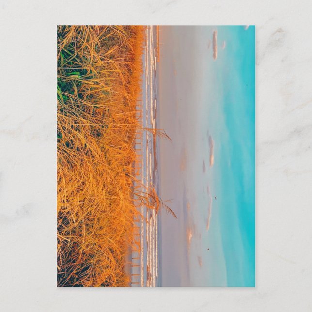 Praia do cartão postal (Frente)