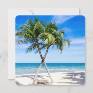 Praia Paraíso Tropical Palmeiras Destino Do Destin