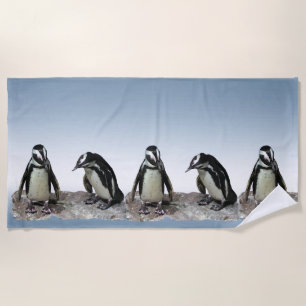 Praia Pássaros preto e branco do pinguim na toalha de