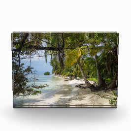 Praia Tropical Grove