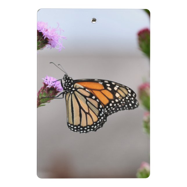 Prancheta Área de Transferência Mini Monarch (Verso)
