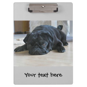 Prancheta de Cachorrinho Pug Preto Fofo