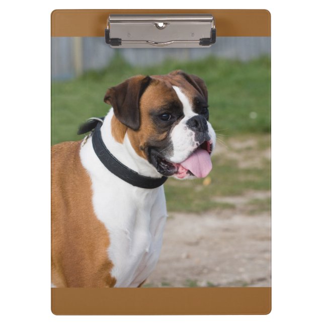 Prancheta de Foto de Boxer / Cachorro Fofo (Frente)