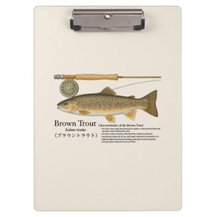 Prancheta de Ilustração de Pesca com Mosca para Tr